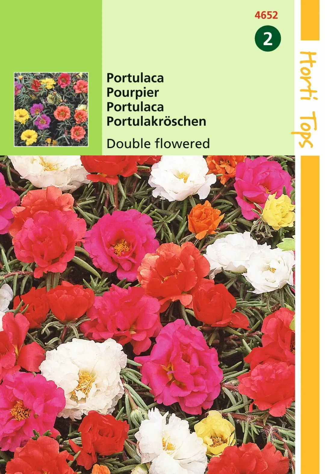 Zaden Portulaca dubbelbloemig gemengd Hortitops