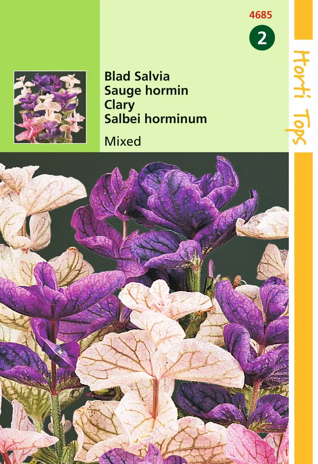 Zaden Salvia Bladsalvia gemengd Hortitops