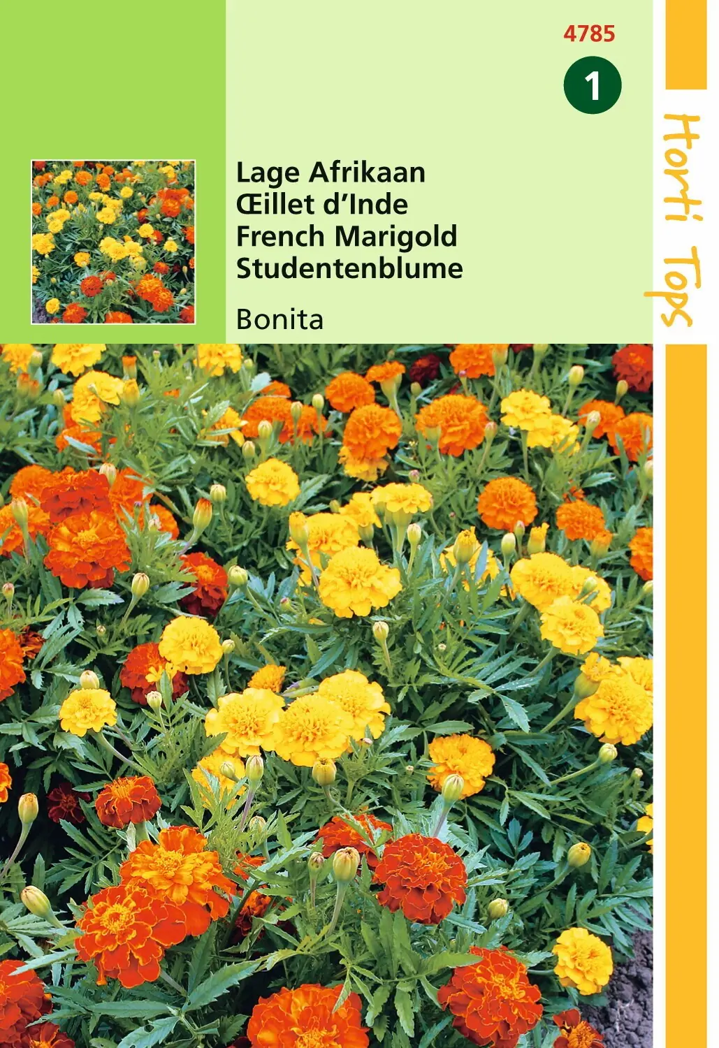 Zaden Tagetes lage Afrikaan Bonita gemengd Hortitops