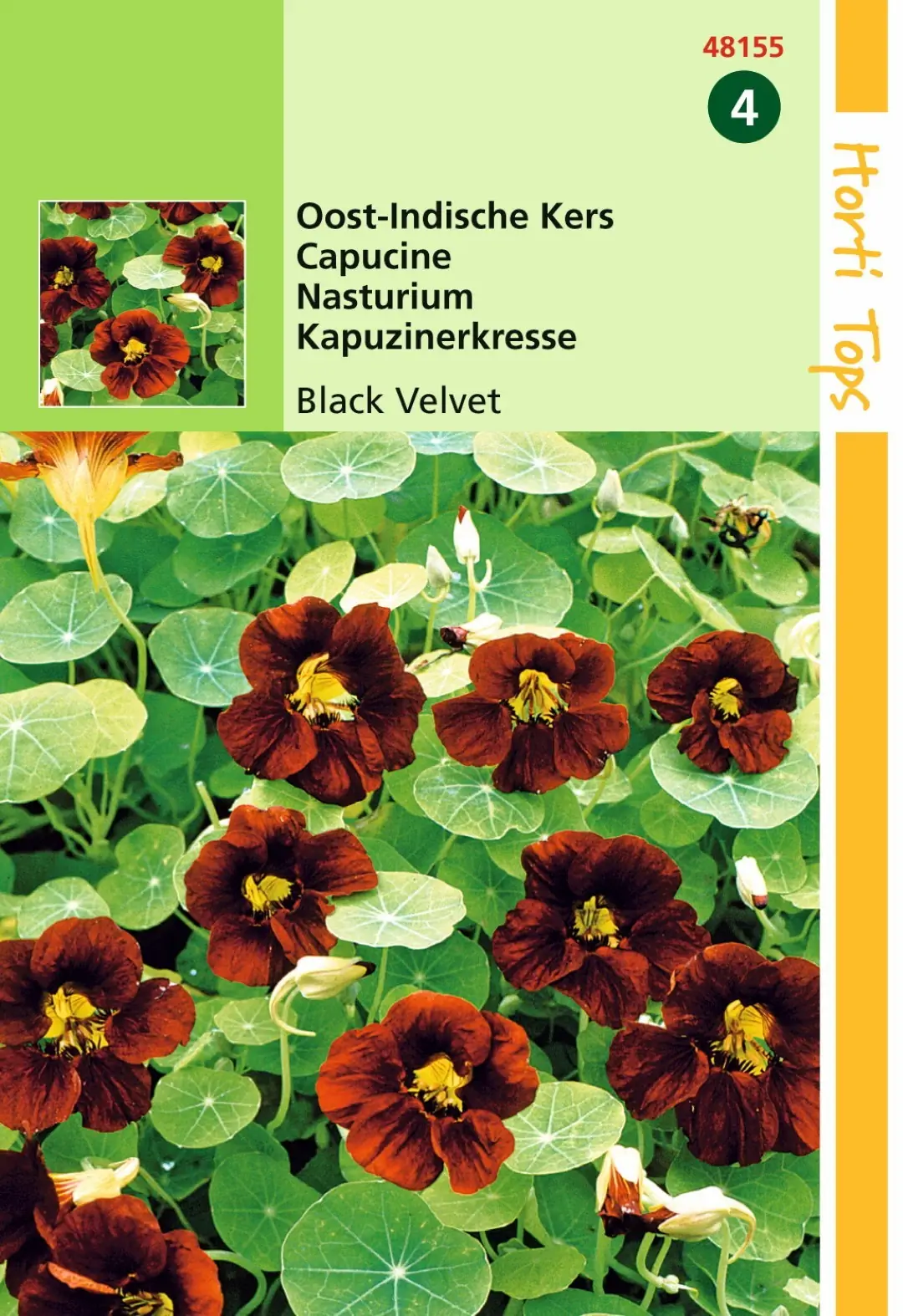 Zaden Tropaeolum Oost-Indische Kers Black Velvet Hortitops