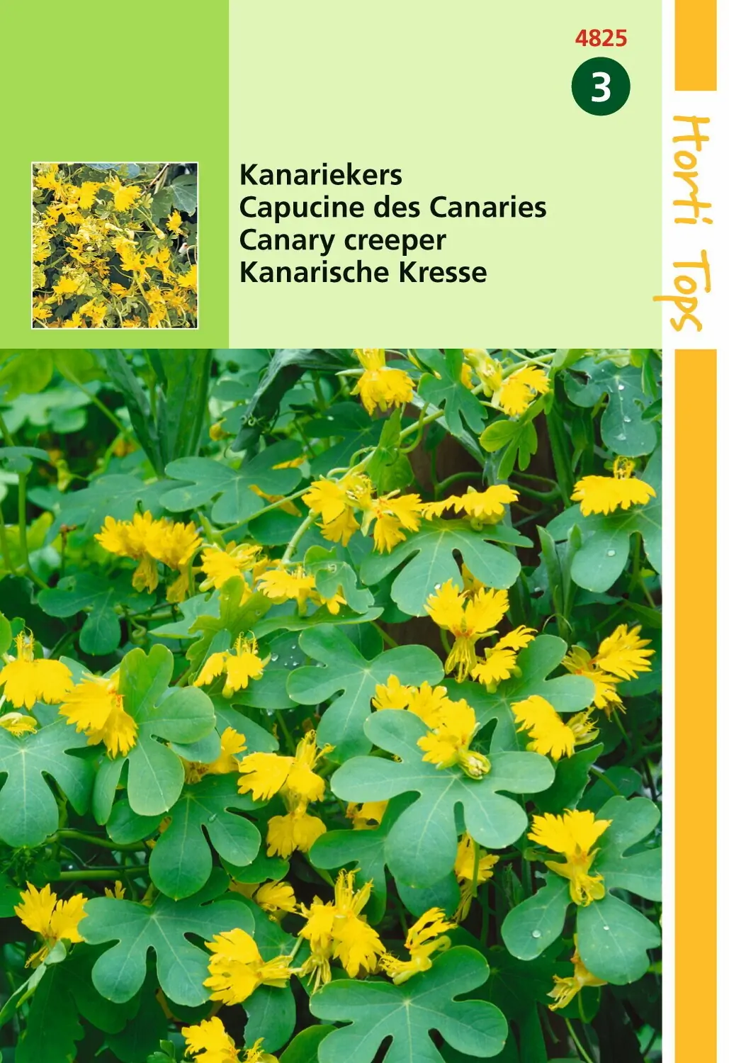 Zaden Tropaeolum Kanariekers geel Hortitops