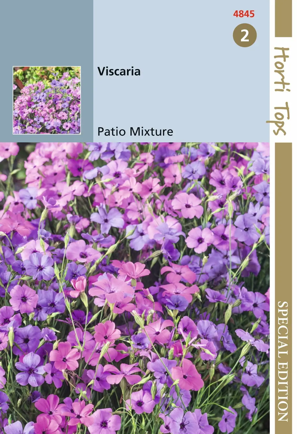 Zaden Viscaria Patio Mixture Hortitops