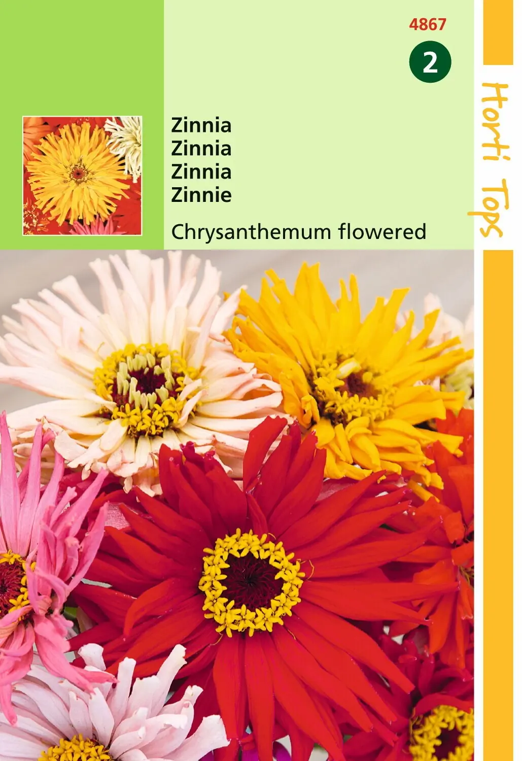 Zaden Zinnia Chrysanthbloemig gemengd Hortitops