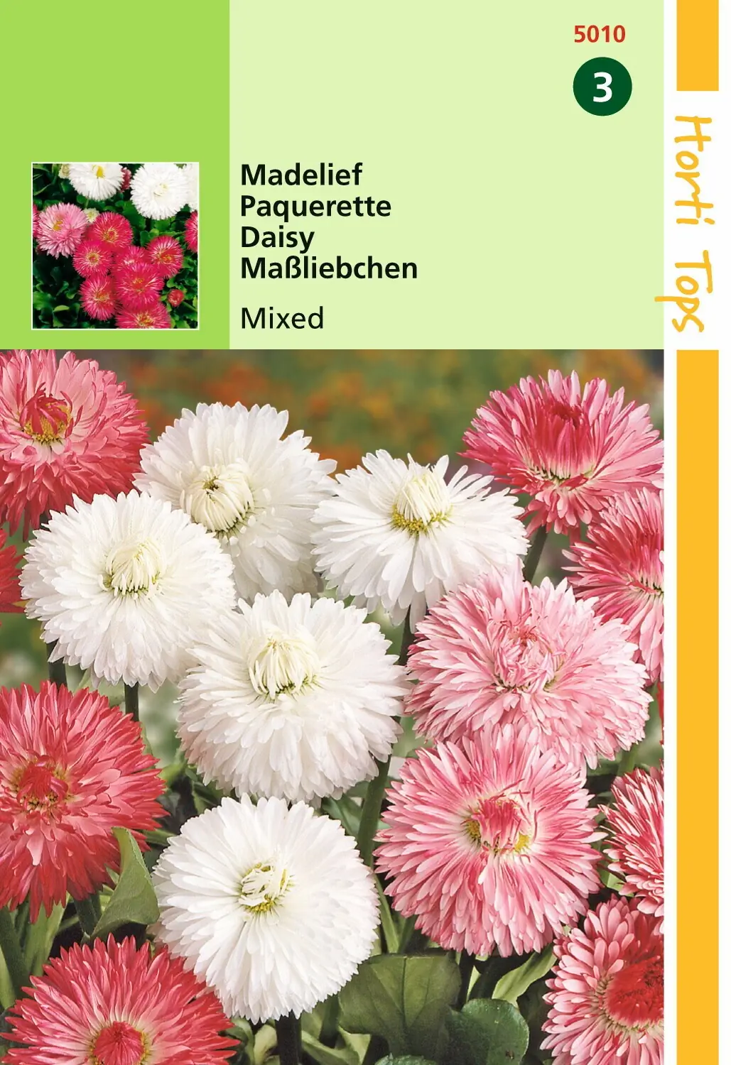 Zaden Bellis Perennis Madelief Monstrosa dubbelbloemig gemengd Hortitops