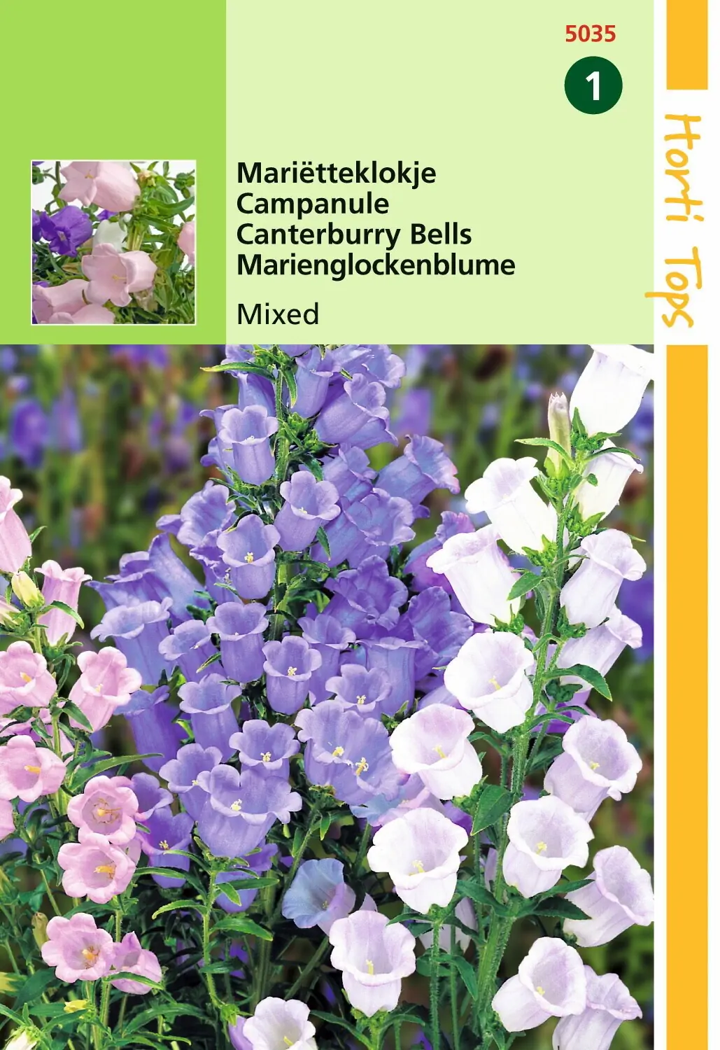 Zaden Campanula Marietteklokje enkelbloemig gemengd Hortitops