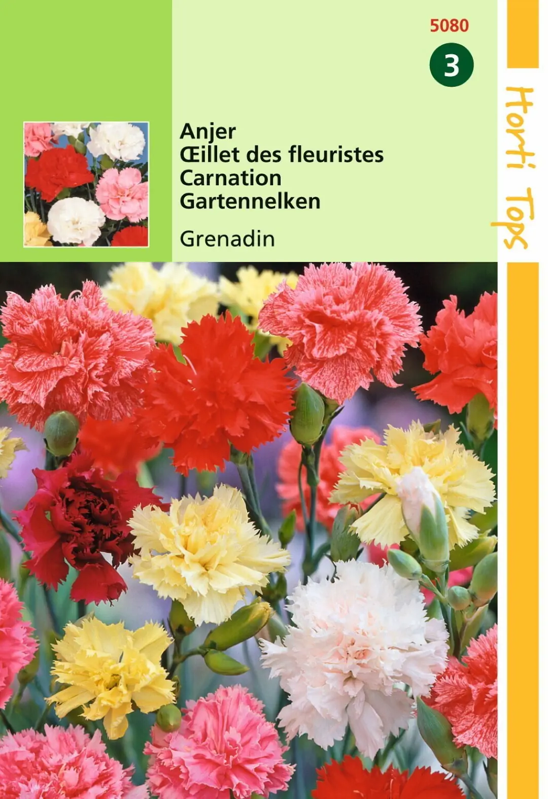 Zaden Dianthus Anjer Grenadin gemengd Hortitops