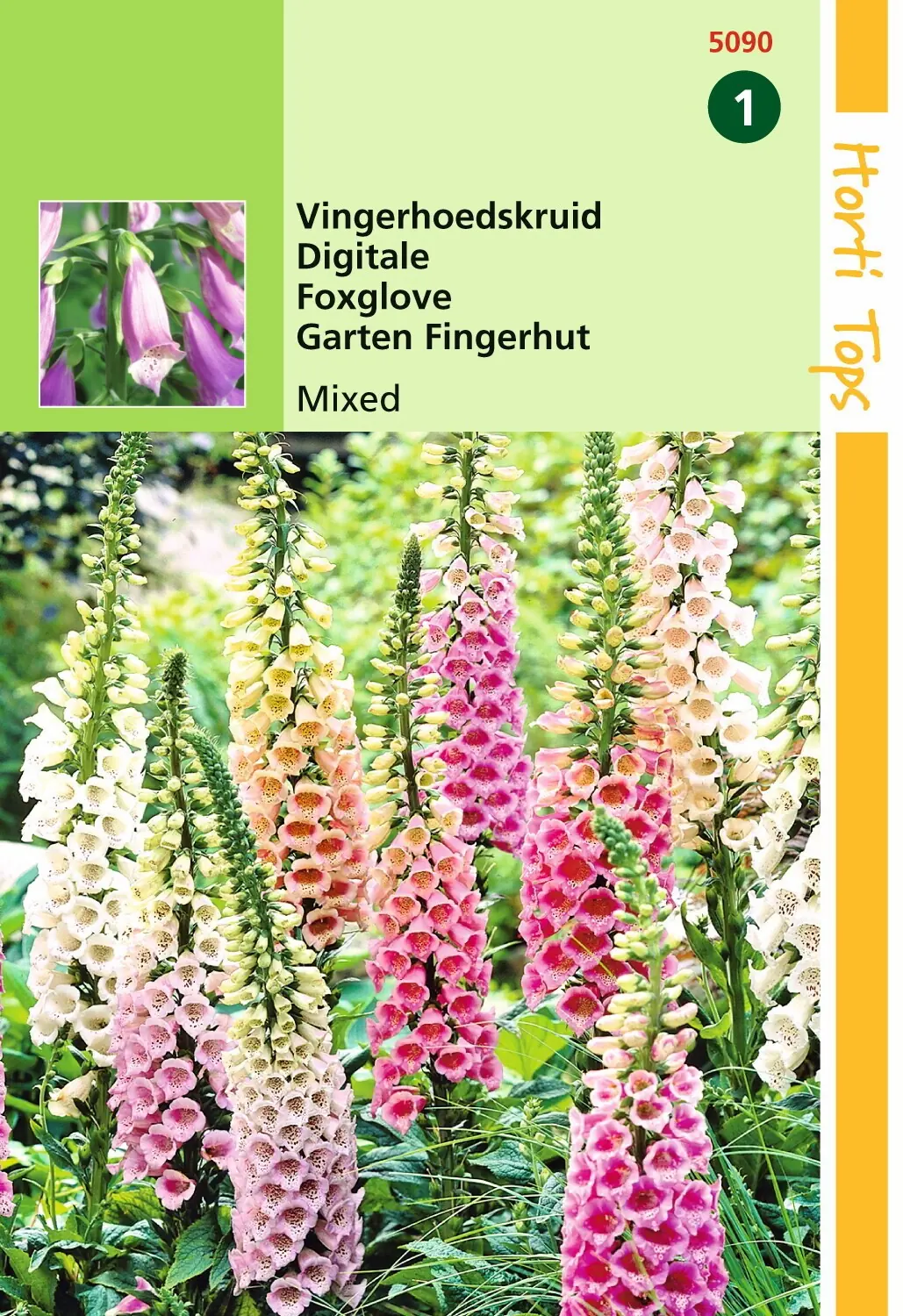 Zaden Digitalis Vingerhoedskruid gemengd Hortitops
