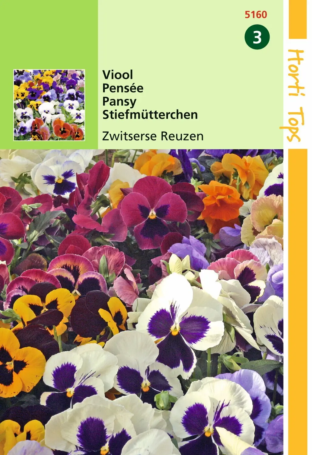 Zaden Viola Viool Zwitserse Reuzen Hortitops