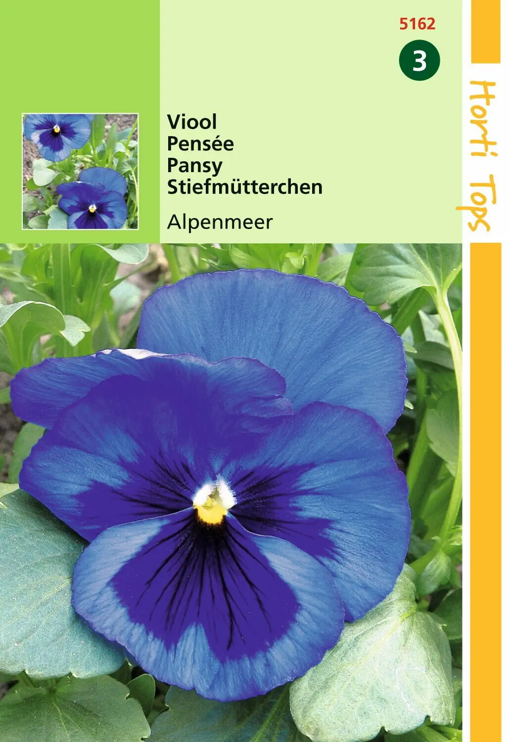 Zaden Viola Viool Alpenmeer Hortitops
