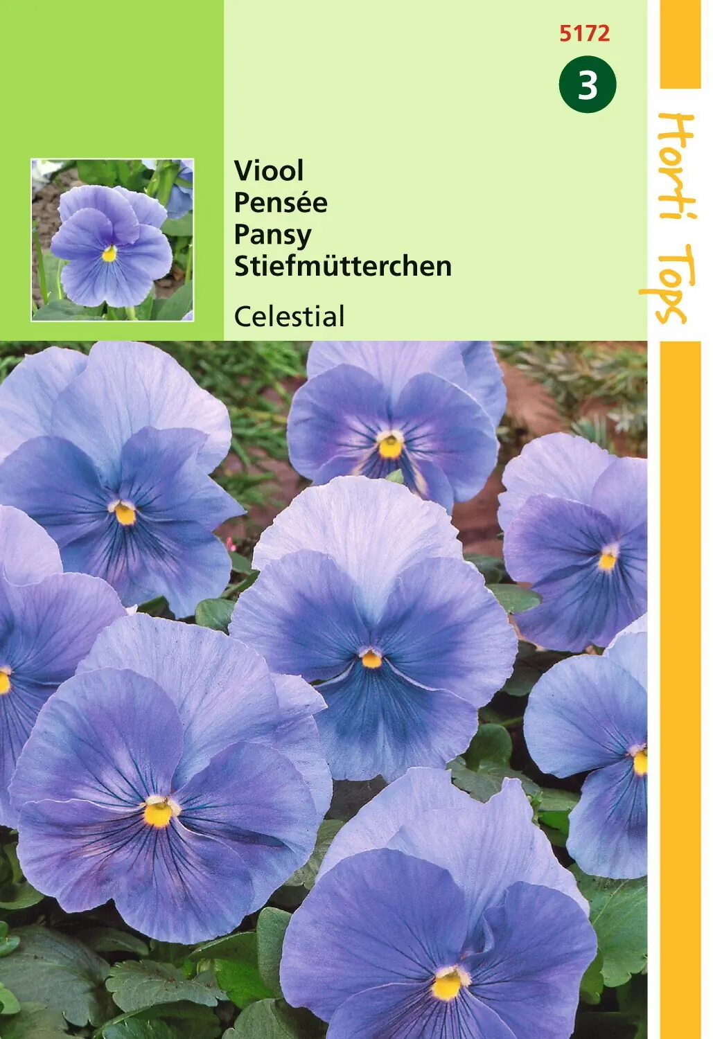 Zaden Viola Viool Celestial Hortitops