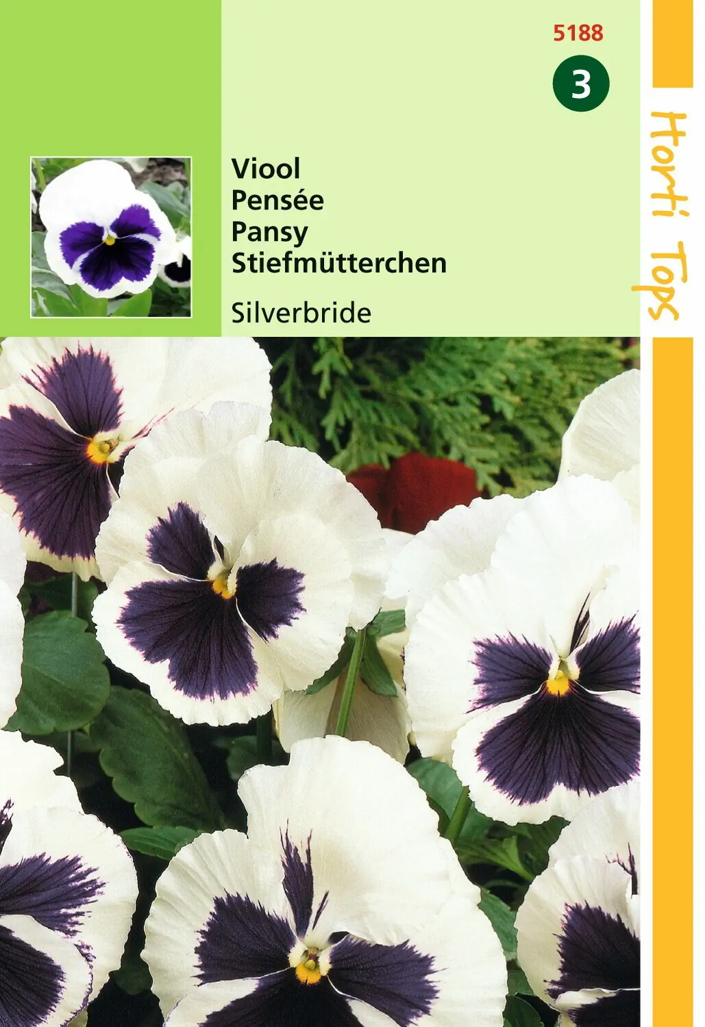 Zaden Viola Viool Silverbride Hortitops