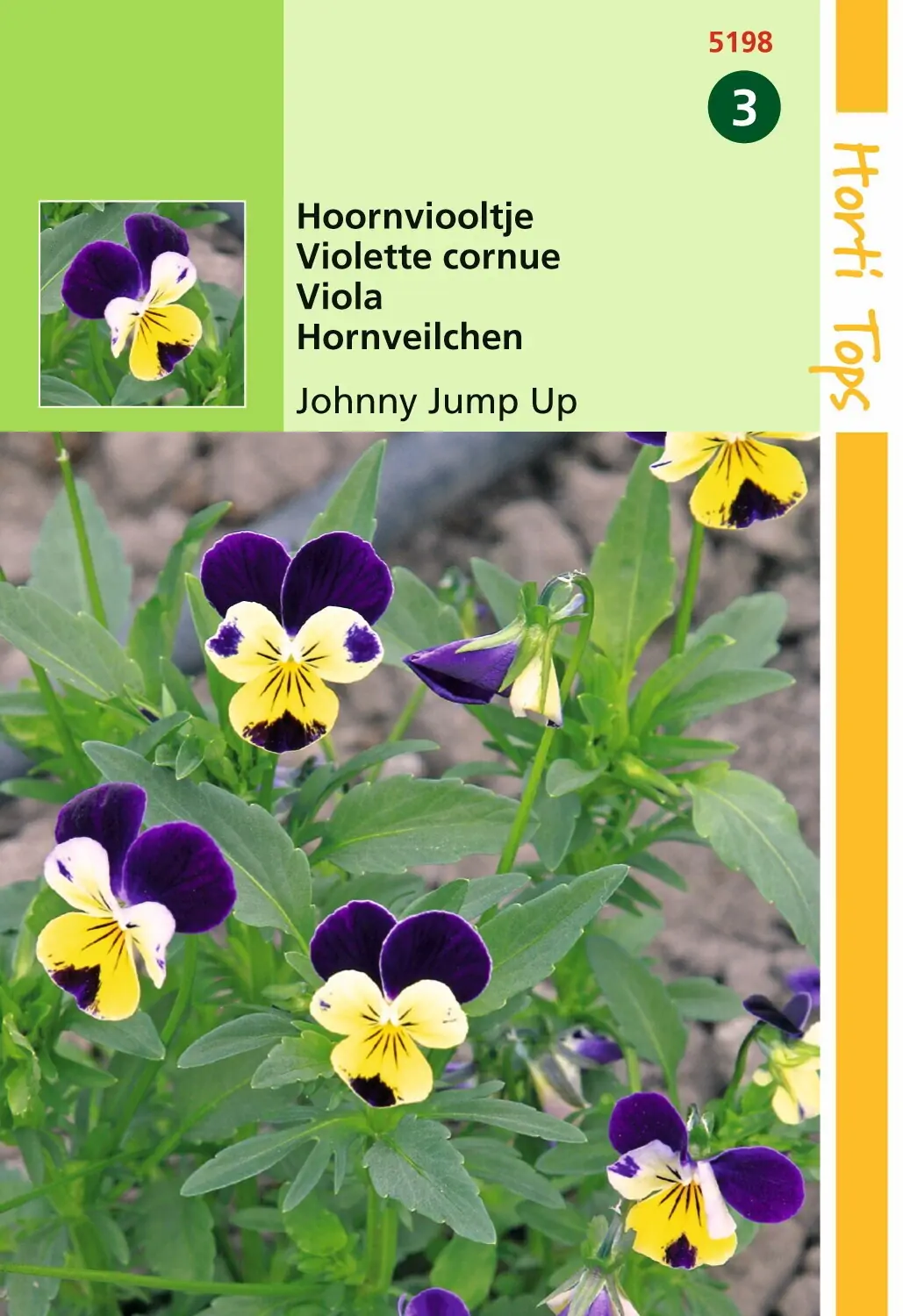 Zaden Viola Hoornviooltje Johnny Jump Up Hortitops