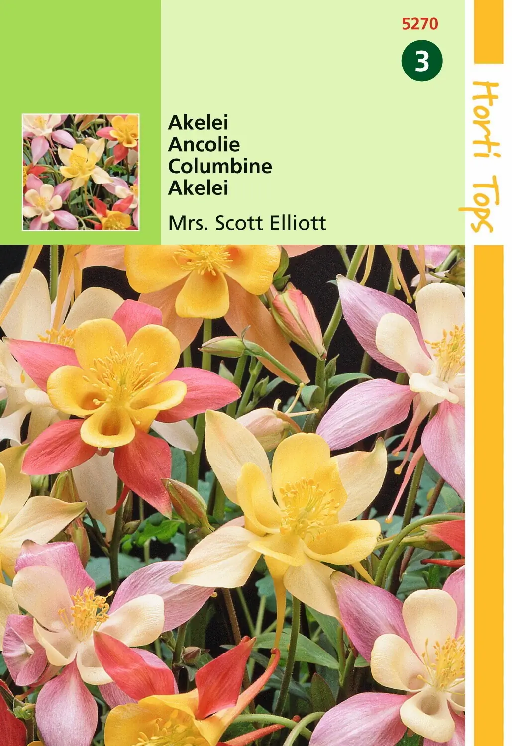 Zaden Aquilegia Akelei Mrs. Scott Elliott Hortitops