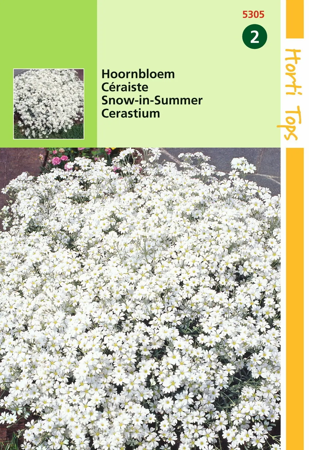 Zaden Cerastium Hoornbloem wit Hortitops