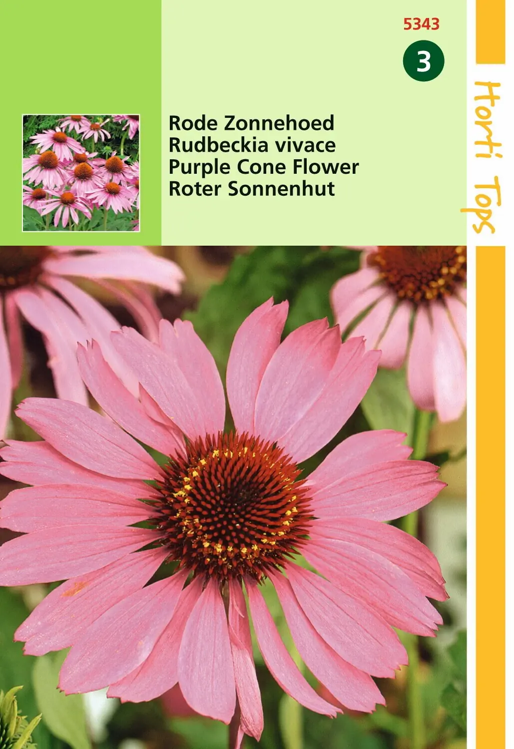 Zaden Echinacea Rode Zonnehoed Hortitops