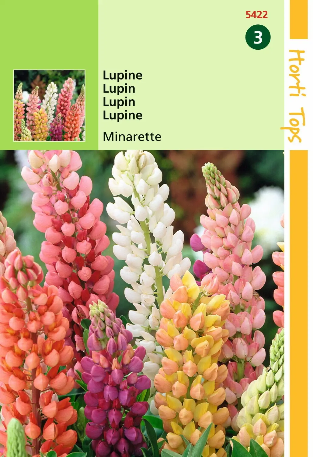 Zaden Lupinus Lupine Minarette gemengd Hortitops