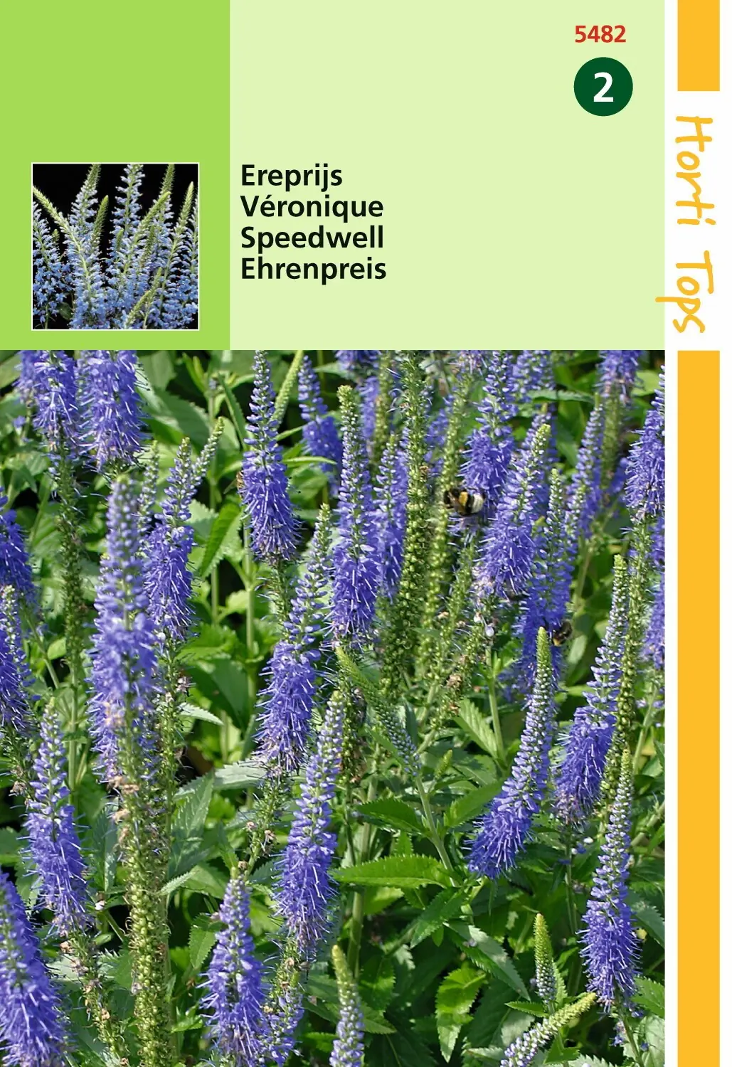 Zaden Veronica Ereprijs blauw Hortitops