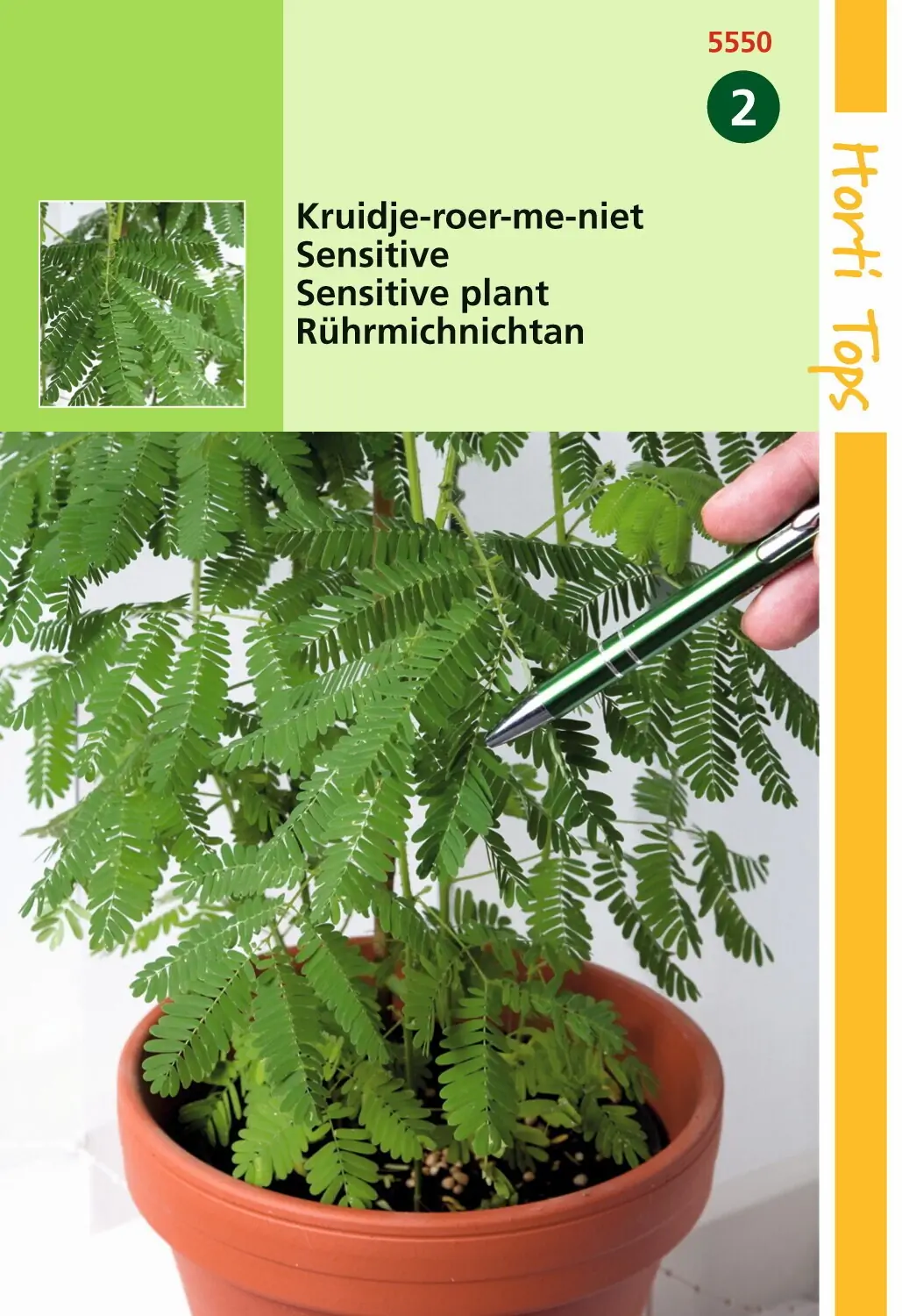 Zaden Mimosa Pudica Kruidje-Roer-Me-Niet Hortitops