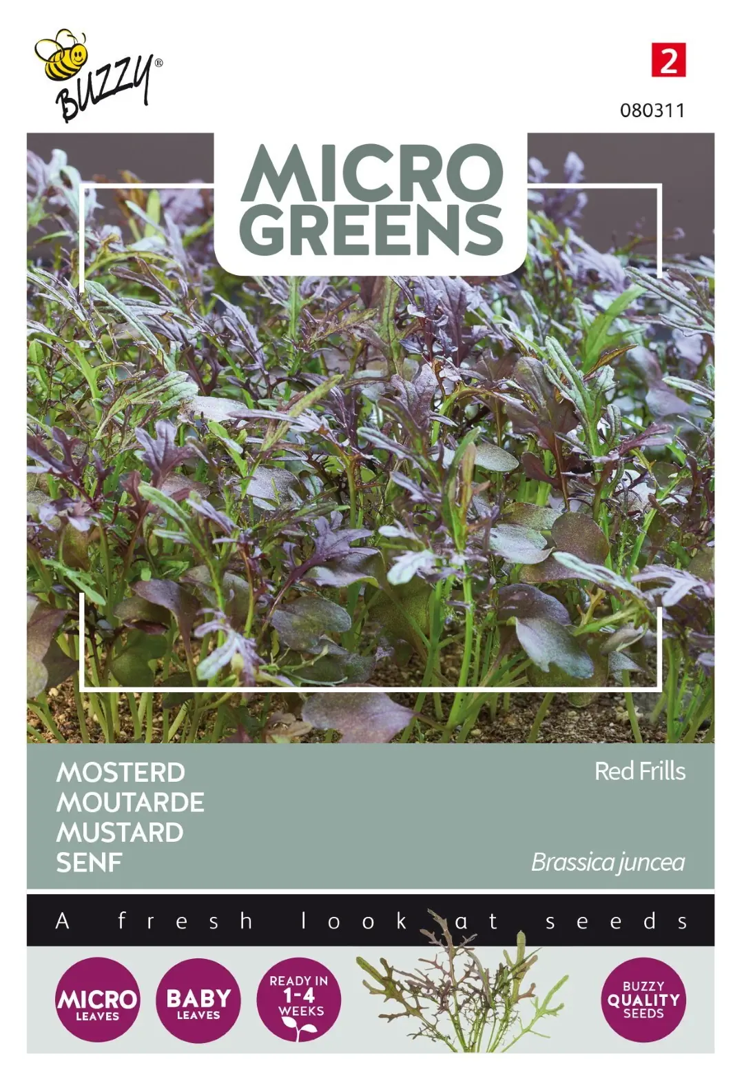 Zaden Microgreens Mosterd Red Frills Buzzy