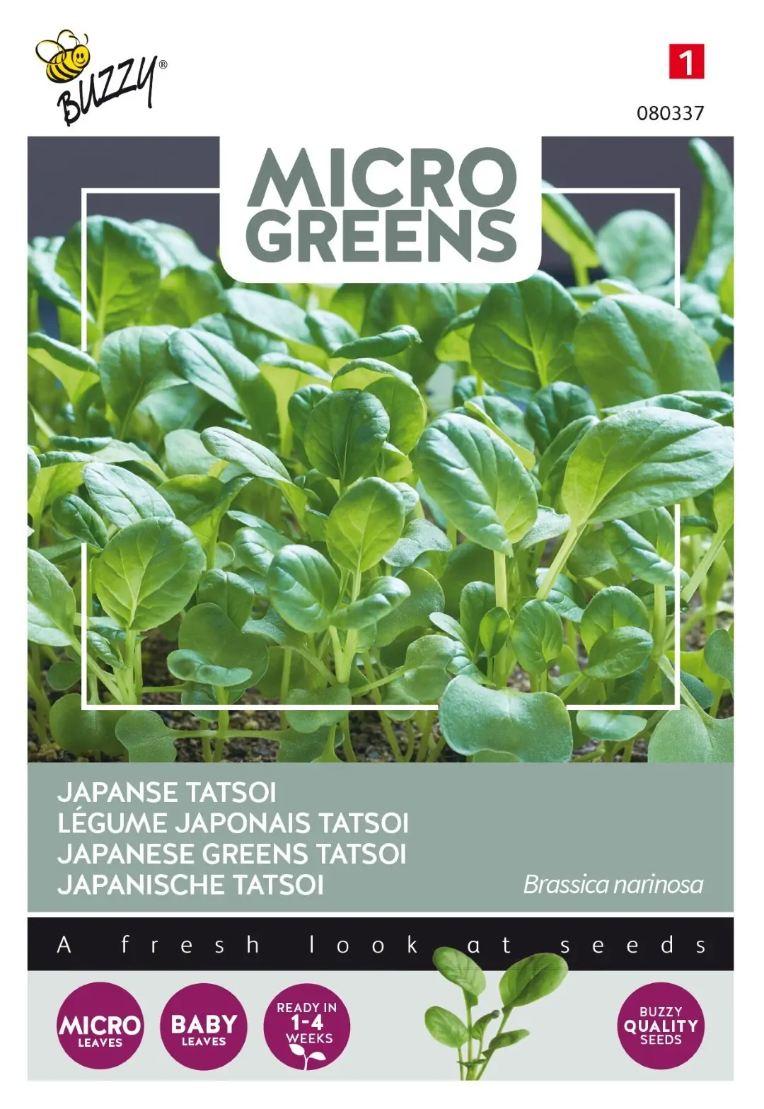 Zaden Microgreens Tatsoi Buzzy