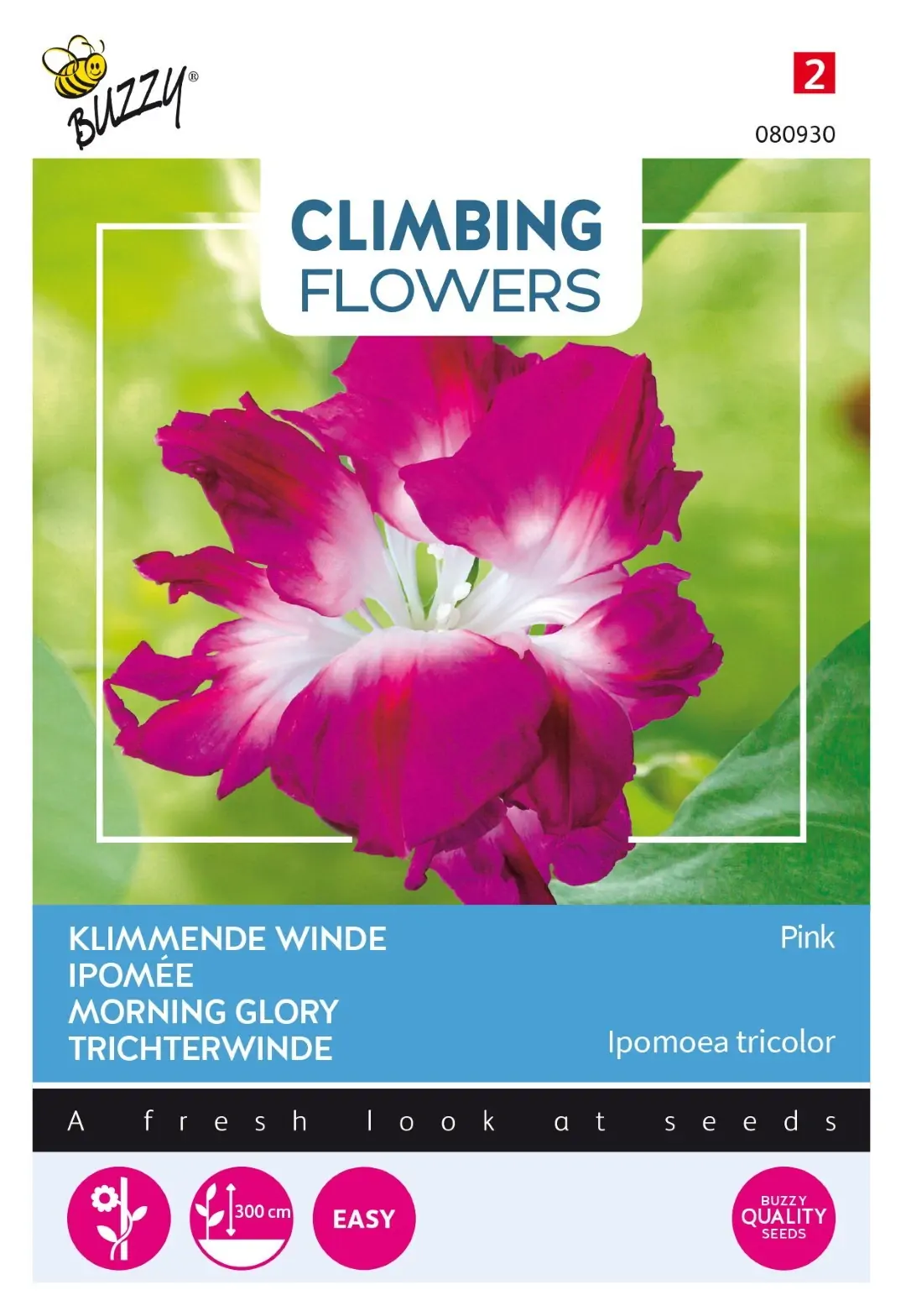 Zaden Flowering Climbers Ipomoea Dubbel Rose Buzzy