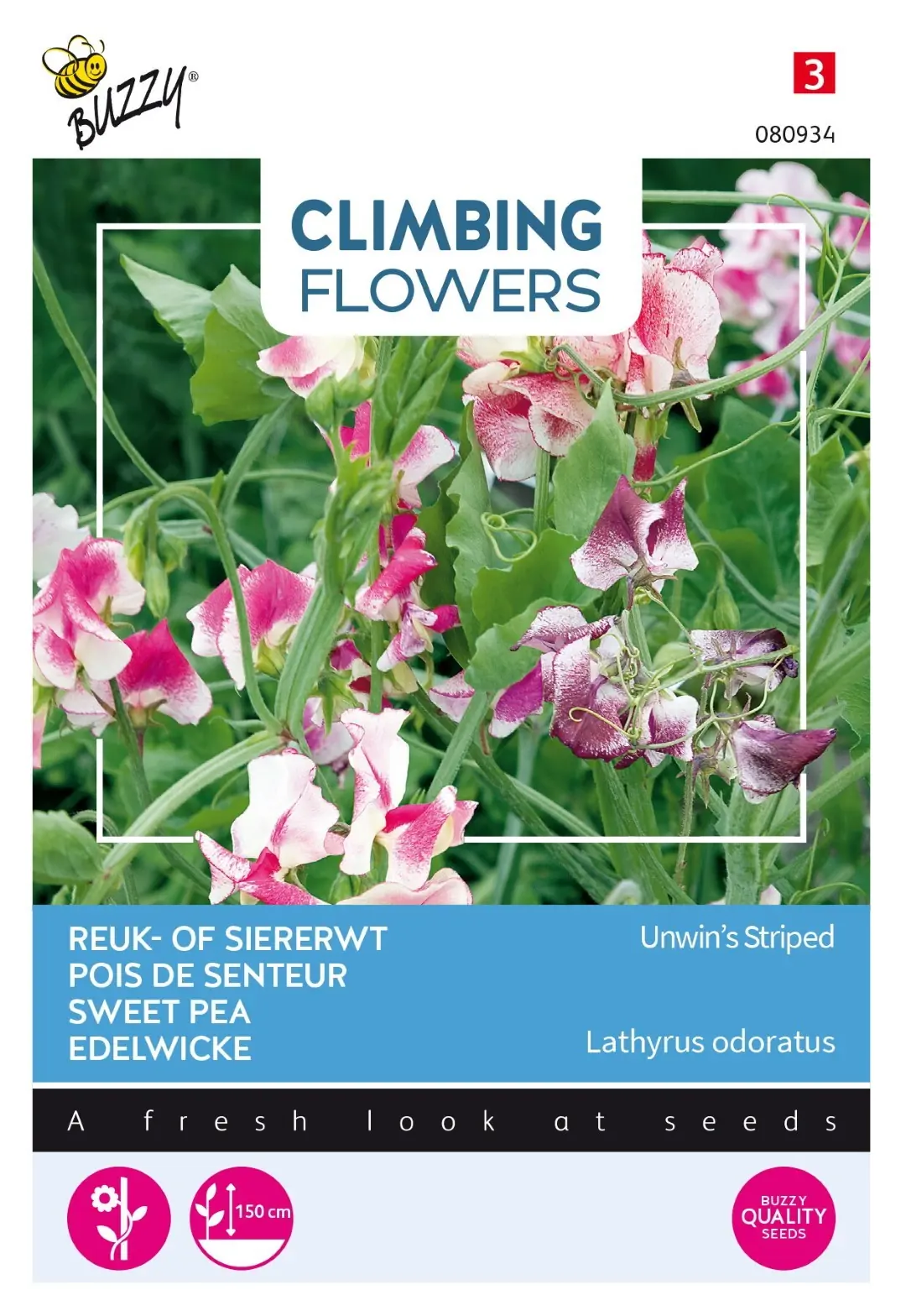 Zaden Flowering Climbers Lathyrus Unwin's Striped Buzzy