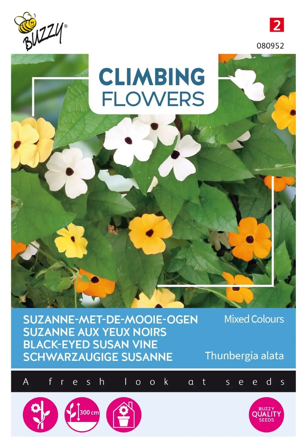 Zaden Flowering Climbers Thunbergia mixed Buzzy
