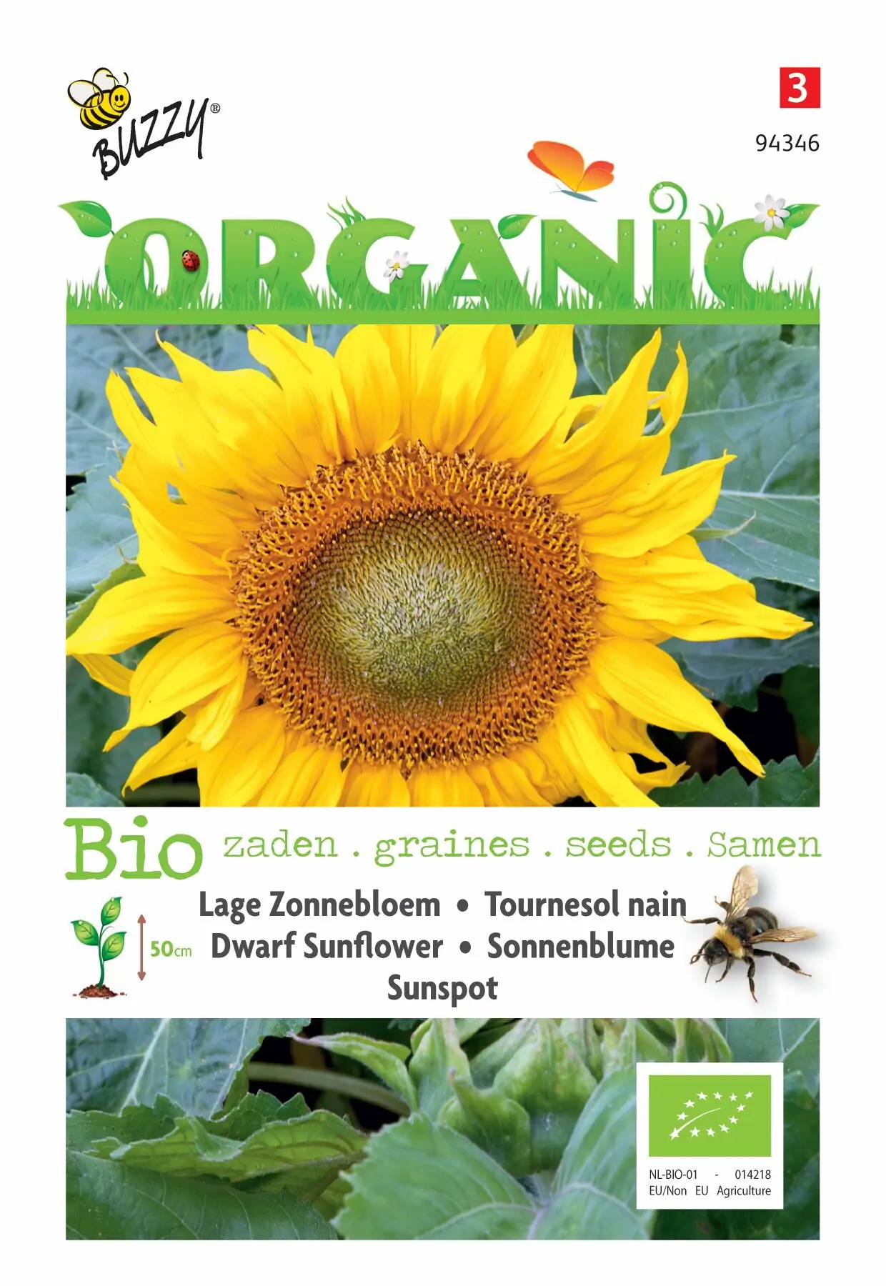 Zaden Organic Helianthus Lage zonnebloem Sunspot (BIO) Buzzy