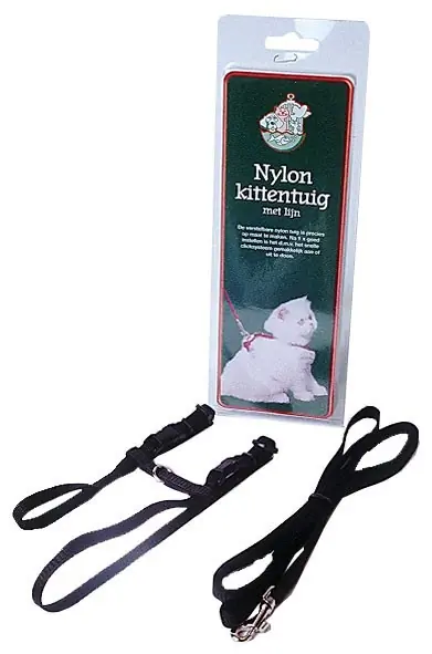 Kittentuig met lijn zwart Gebr de Boon