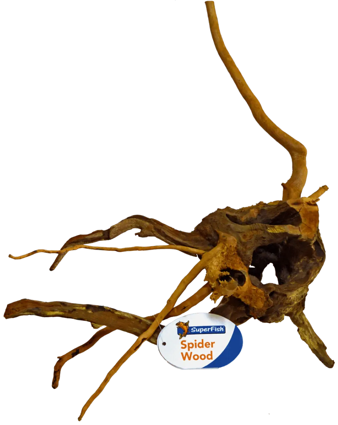 Spiderwood Small aquaria SuperFish