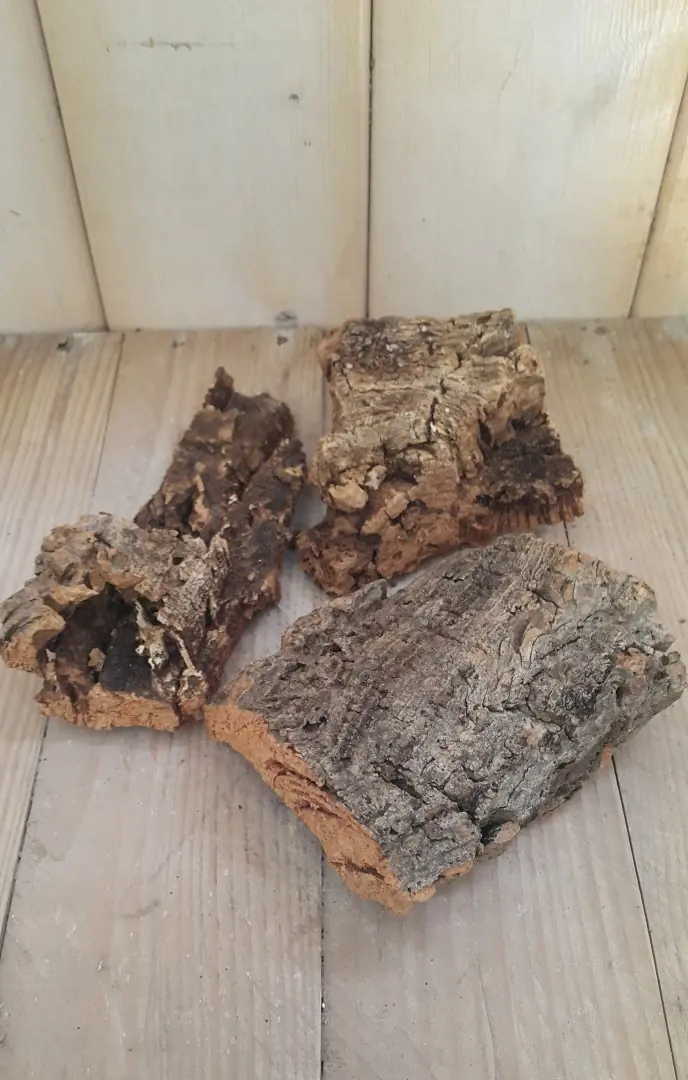 Decoratie schors grove stukken 3 stuks Warentuin Natuurlijk