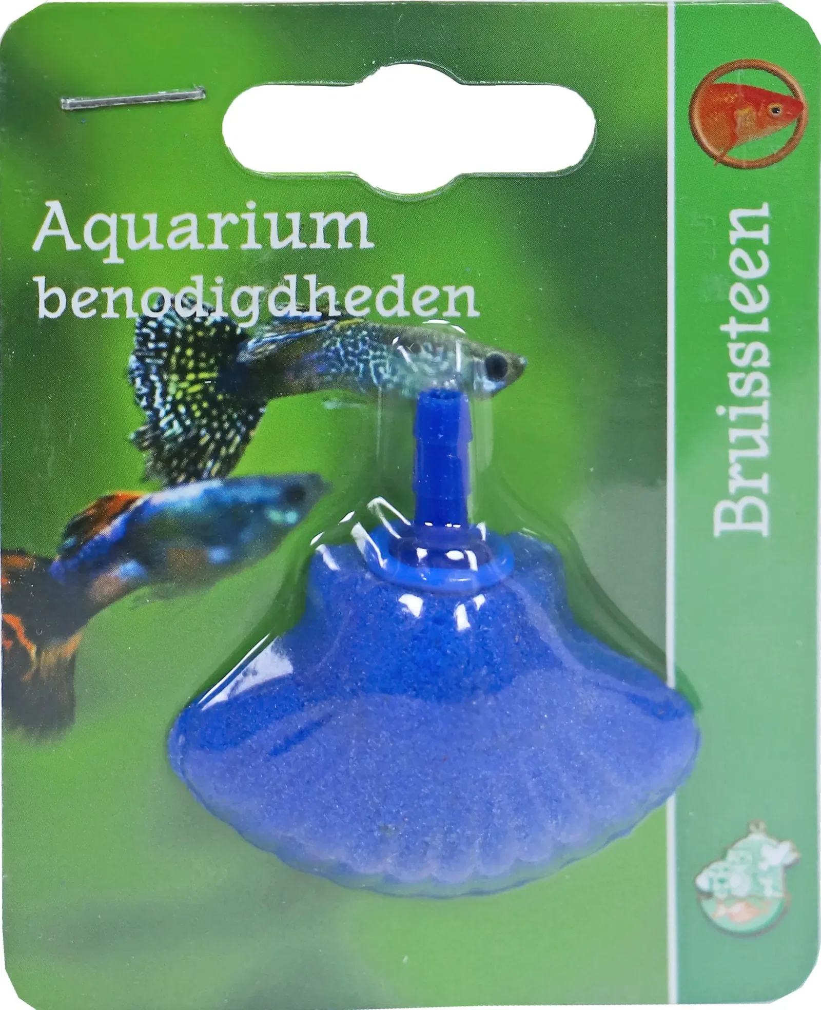 Bruissteen schelp 4.5 cm op blister Aqua-accessoires Gebr. de Boon