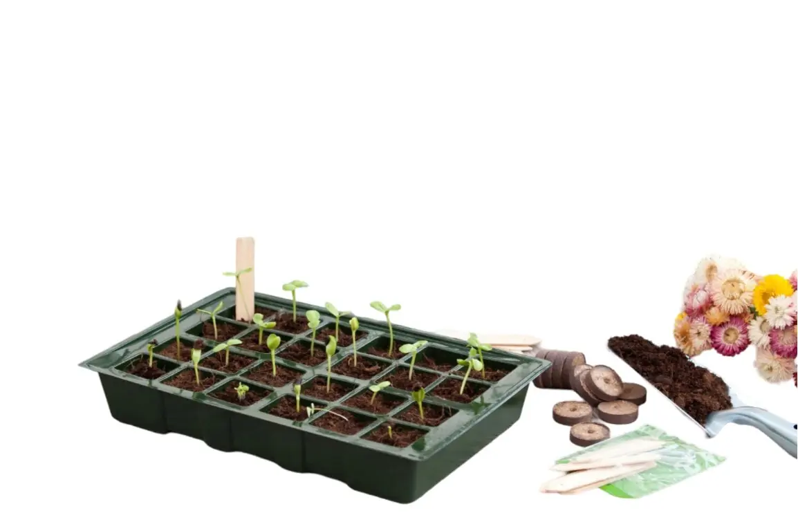 Kweekbakset H11x35x23,5cm set a 4 stuks Nature