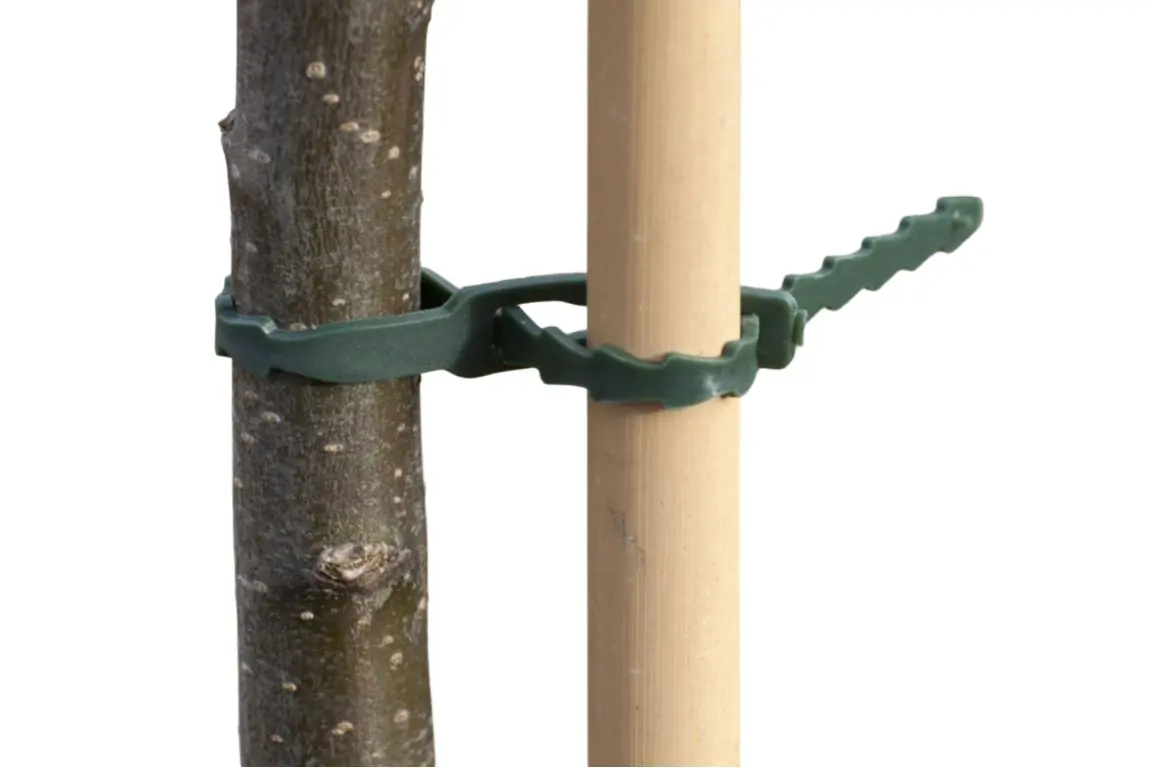 Universele bindband met rattenstaartsluting groen 35cm set a 12 stuks Nature