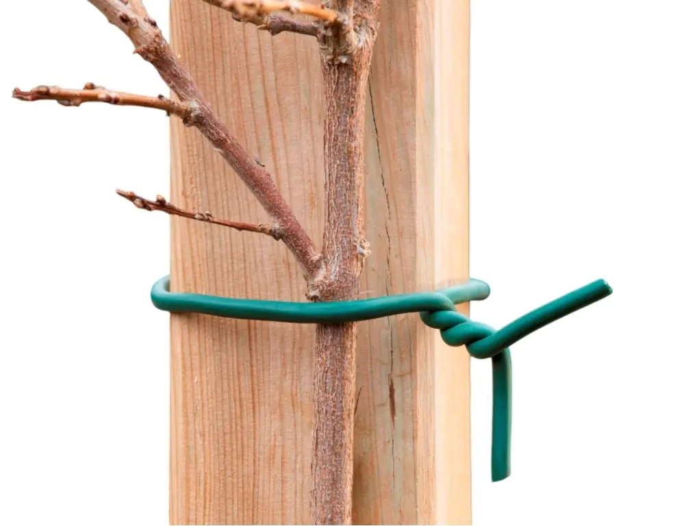 Rubberband groen met ijzeren kern dia. 3mmx10m  Nature