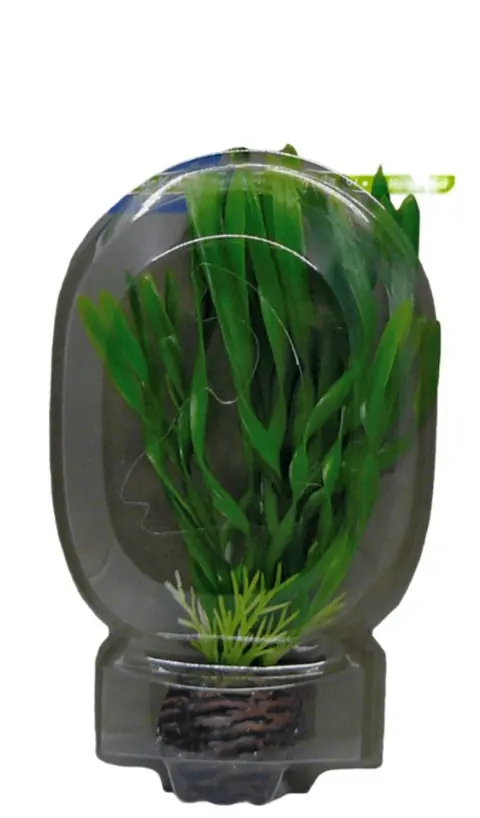 Easy Plant Laag 13 Cm Nr. 6 aquaria Superfish