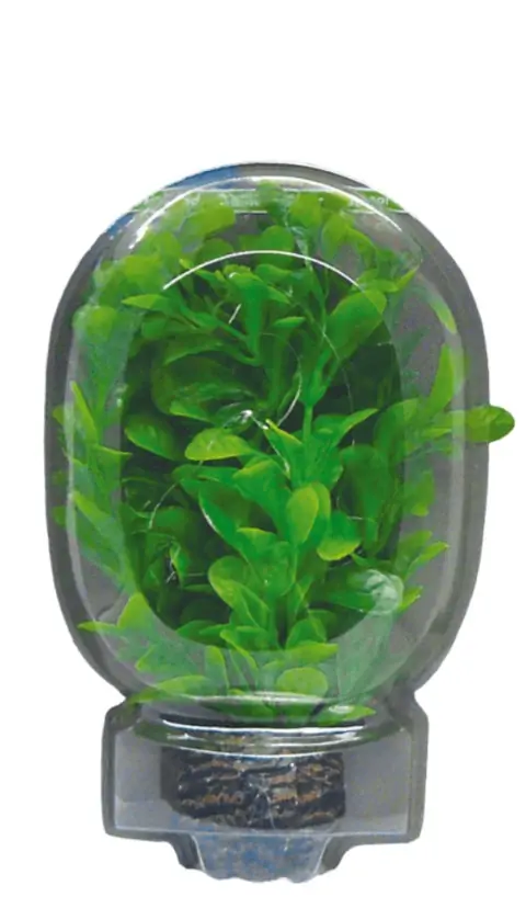Easy Plant Laag 13 Cm Nr. 8 aquaria Superfish