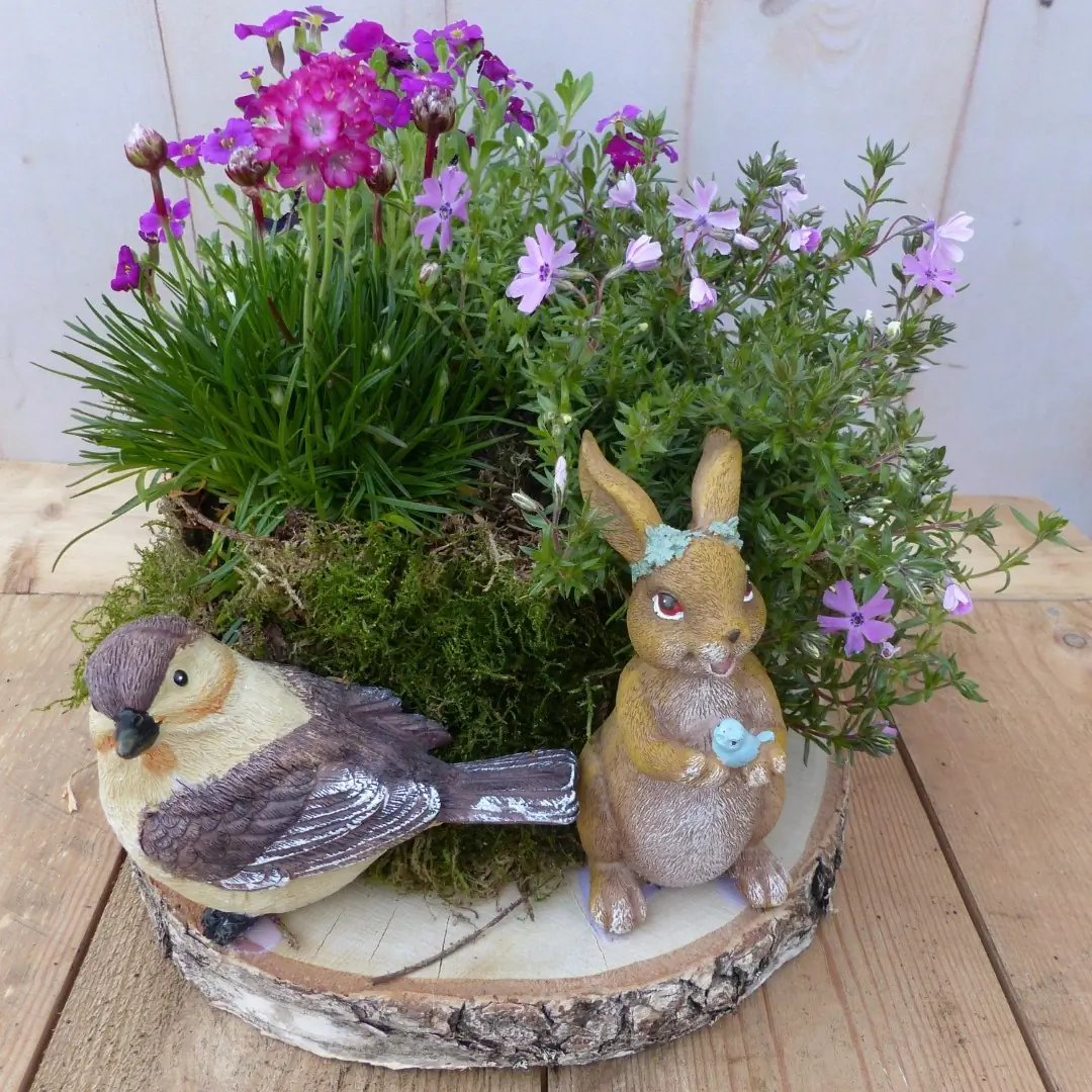 Roze voorjaarsplantjes op houten schijf 30 cm diameter Warentuin Natuurlijk